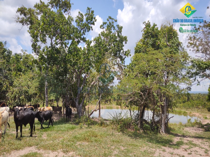 Fazenda, 1 quarto - Foto 14