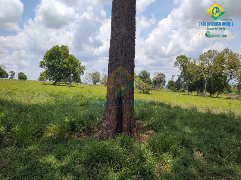 Fazenda, 1 quarto - Foto 33