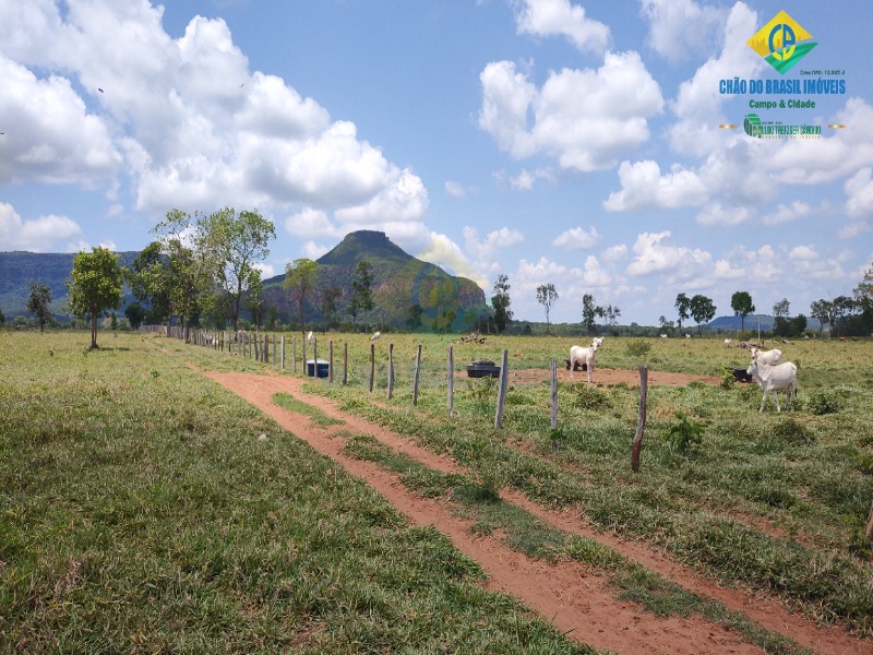 Fazenda, 1 quarto - Foto 16