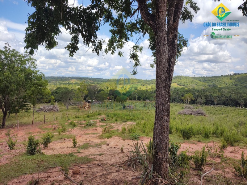 Fazenda à venda com 2 quartos - Foto 20