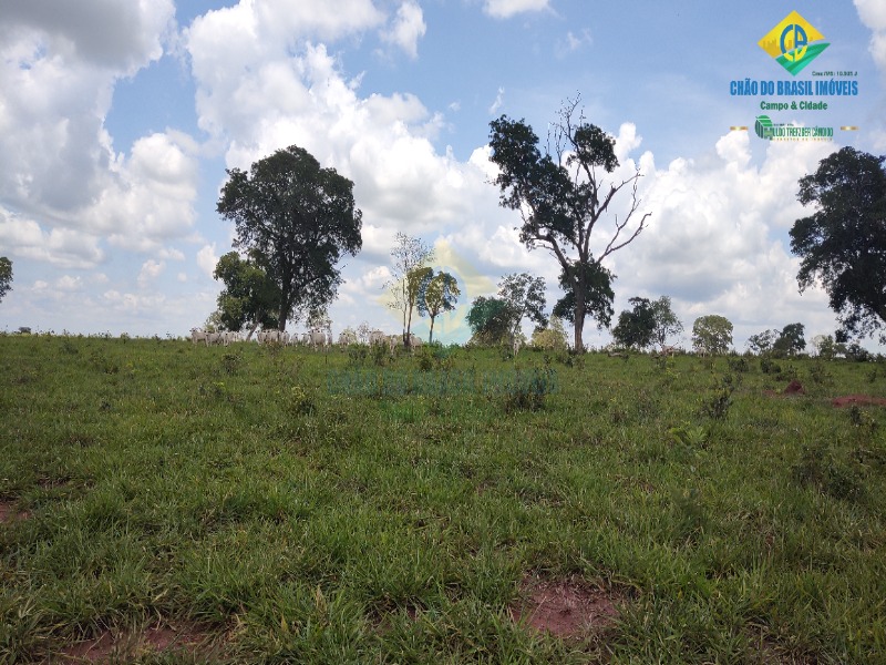 Fazenda, 1 quarto - Foto 26