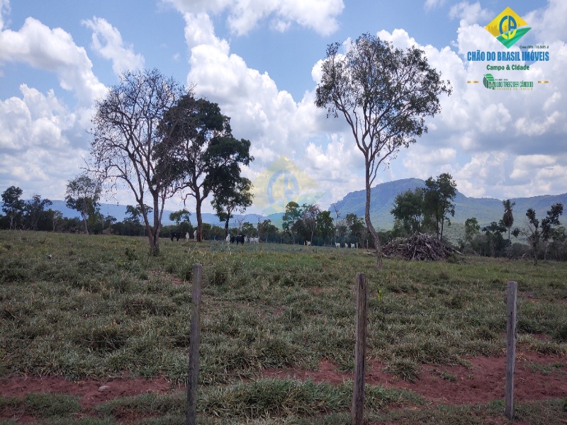 Fazenda, 1 quarto - Foto 25