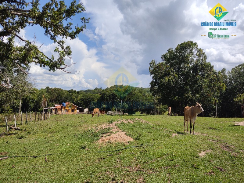 Fazenda à venda com 2 quartos - Foto 34