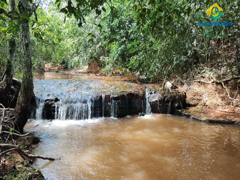 Fazenda à venda com 2 quartos - Foto 31