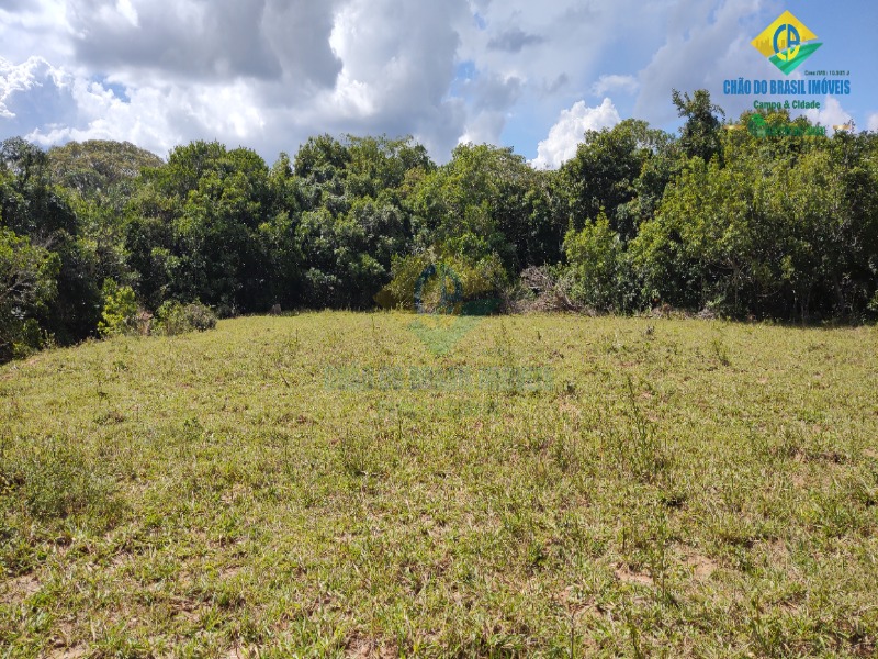 Fazenda à venda com 2 quartos - Foto 27