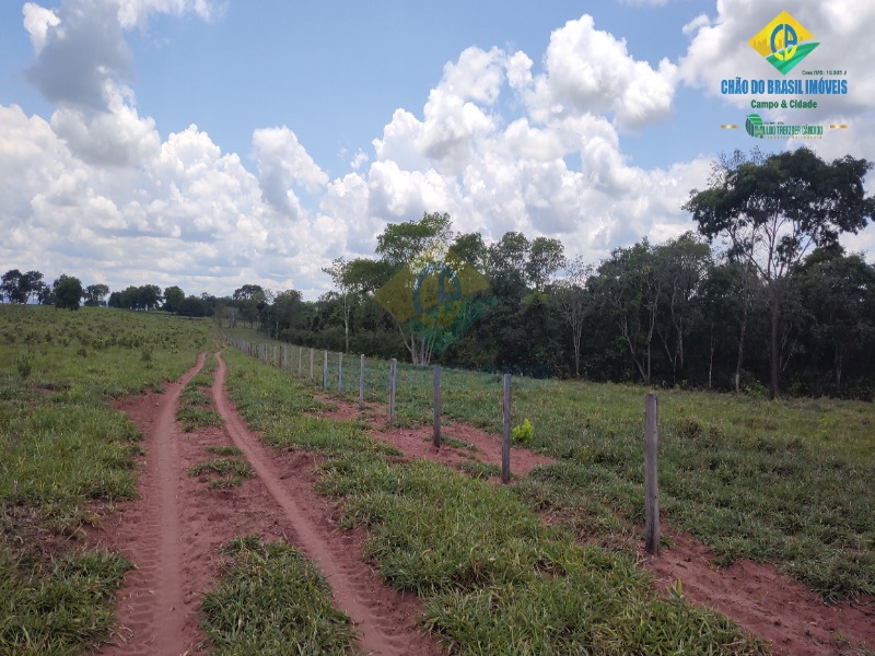 Fazenda, 1 quarto - Foto 28