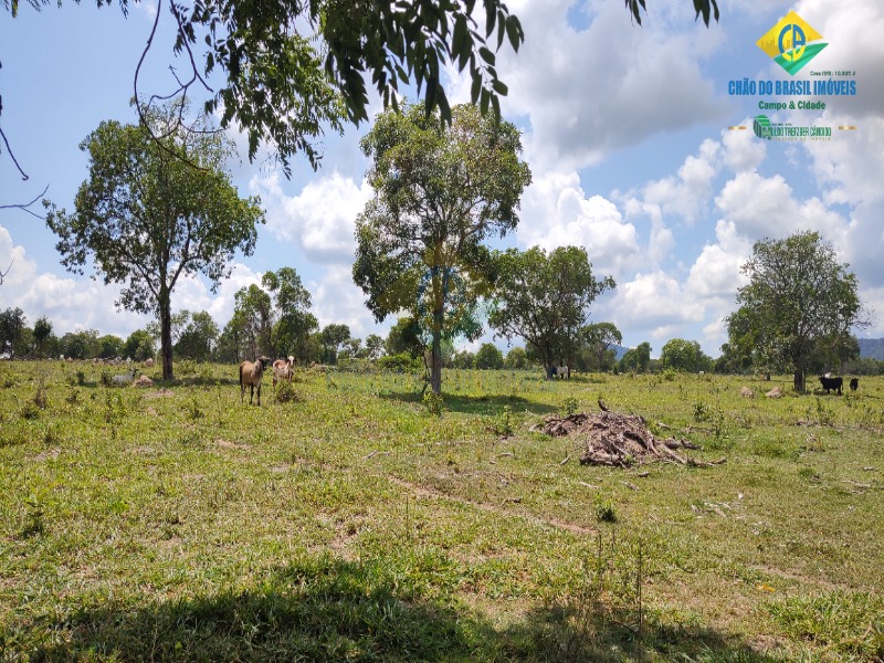Fazenda, 1 quarto - Foto 13