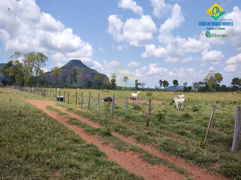 Fazenda, 1 quarto - Foto 17