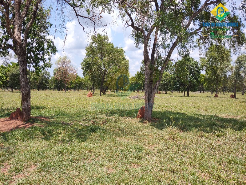 Fazenda, 1 quarto - Foto 24