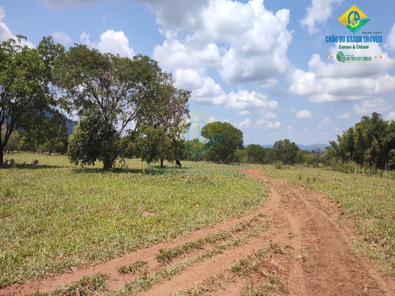 Fazenda, 1 quarto - Foto 11