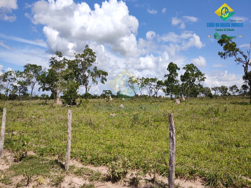 Fazenda à venda com 2 quartos - Foto 25