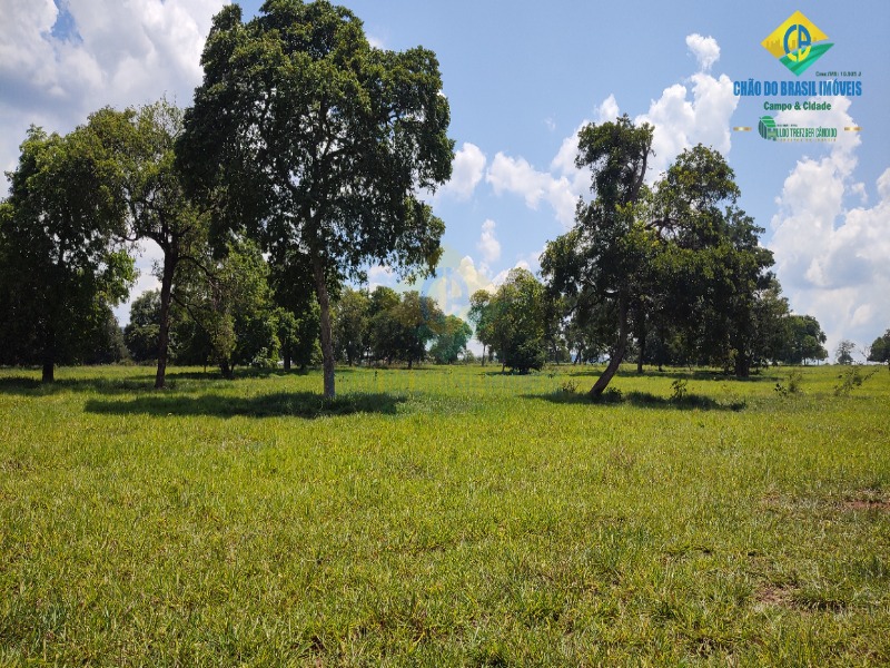 Fazenda, 1 quarto - Foto 3