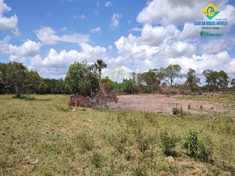 Fazenda à venda com 2 quartos - Foto 23