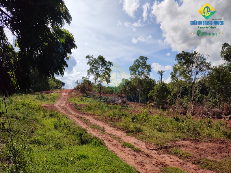 Fazenda à venda com 2 quartos - Foto 8