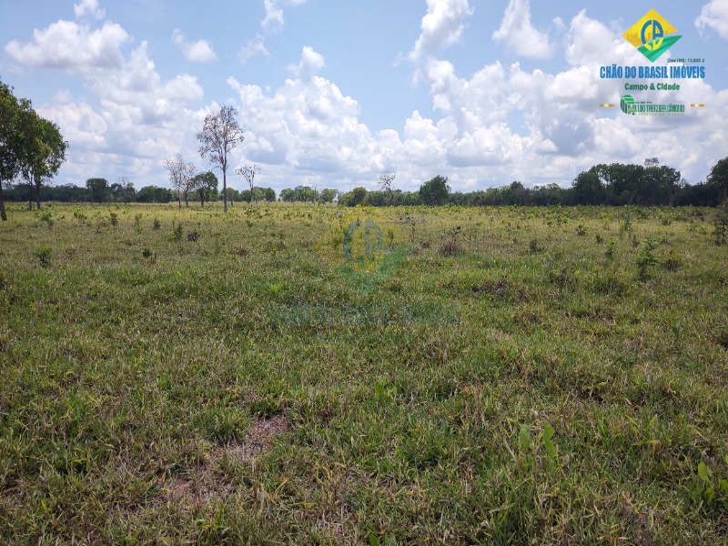 Fazenda, 1 quarto - Foto 21