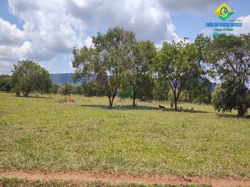 Fazenda, 1 quarto - Foto 10
