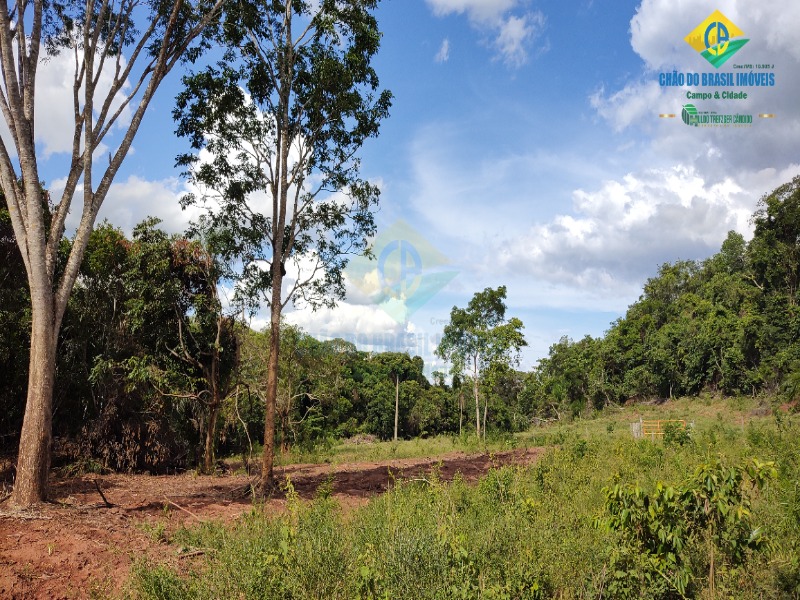 Fazenda à venda com 2 quartos - Foto 10