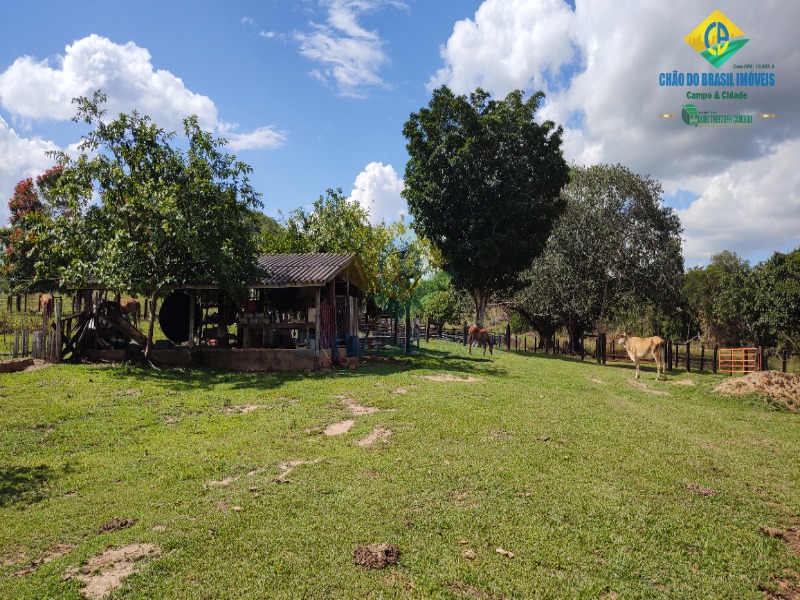 Fazenda à venda com 2 quartos - Foto 40