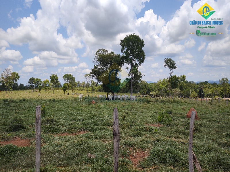 Fazenda, 1 quarto - Foto 18