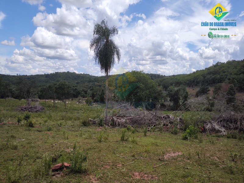 Fazenda à venda com 2 quartos - Foto 17