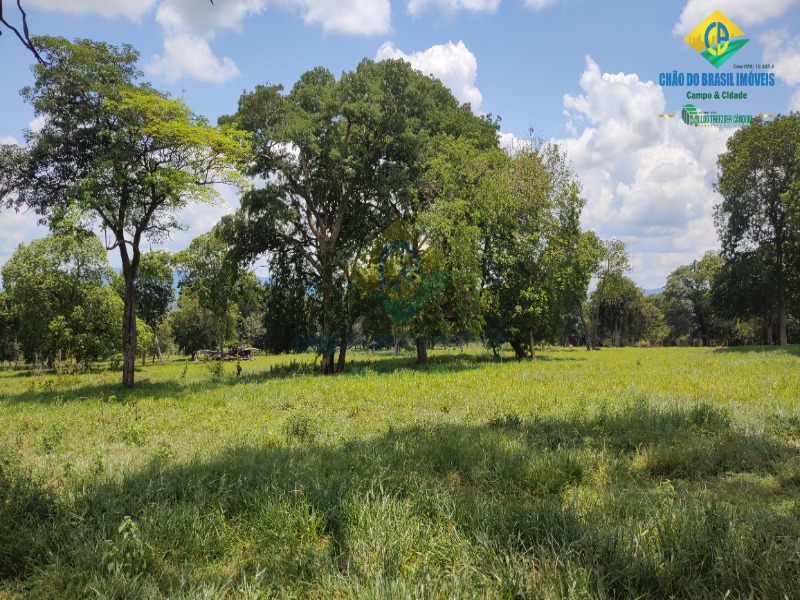 Fazenda, 1 quarto - Foto 35