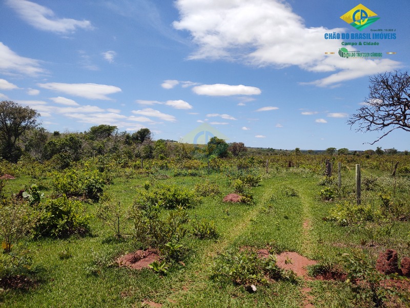 Fazenda à venda com 4 quartos - Foto 42