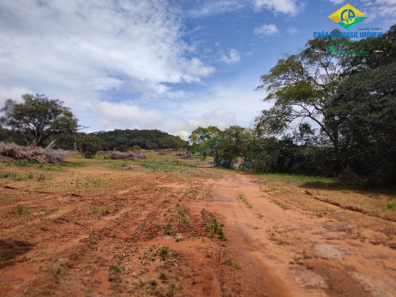 Fazenda à venda com 3 quartos - Foto 55