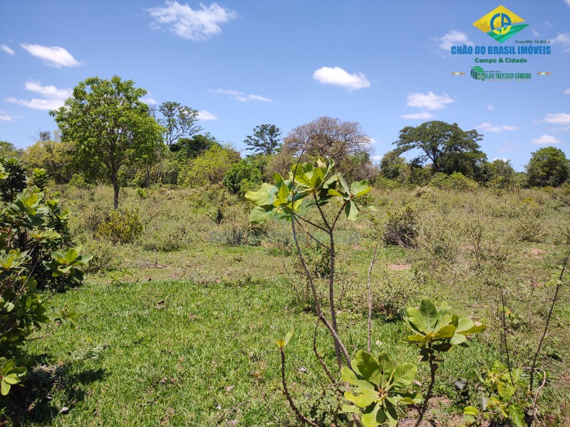 Fazenda à venda com 4 quartos - Foto 13