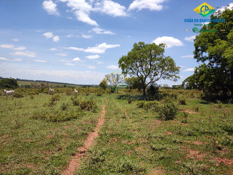 Fazenda à venda com 4 quartos - Foto 9