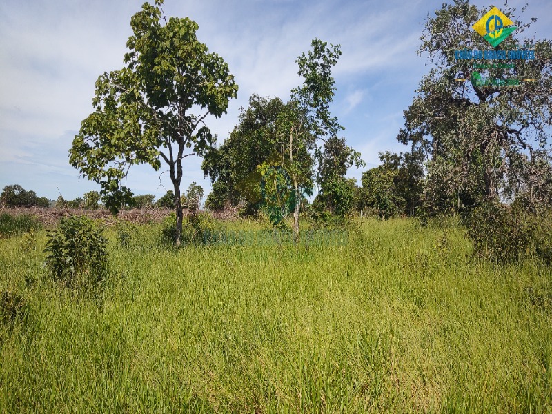 Fazenda à venda com 3 quartos - Foto 20