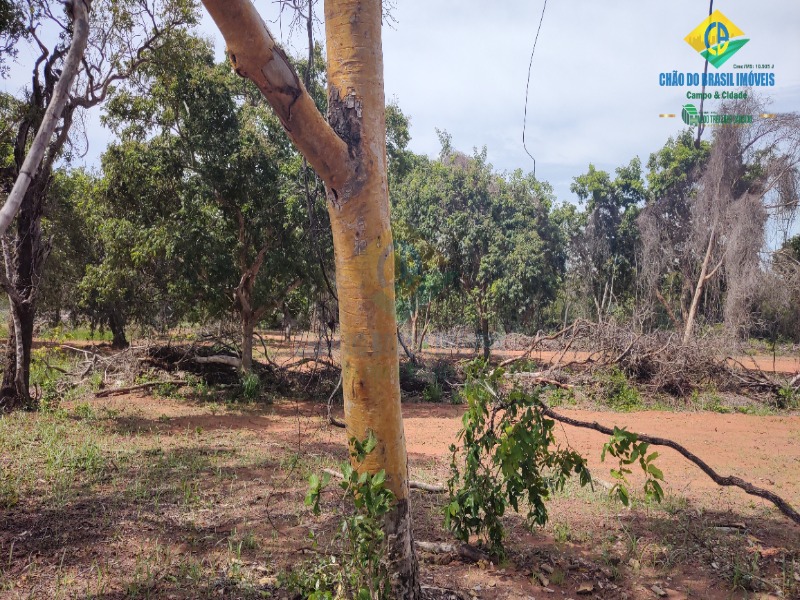 Fazenda à venda com 3 quartos - Foto 36