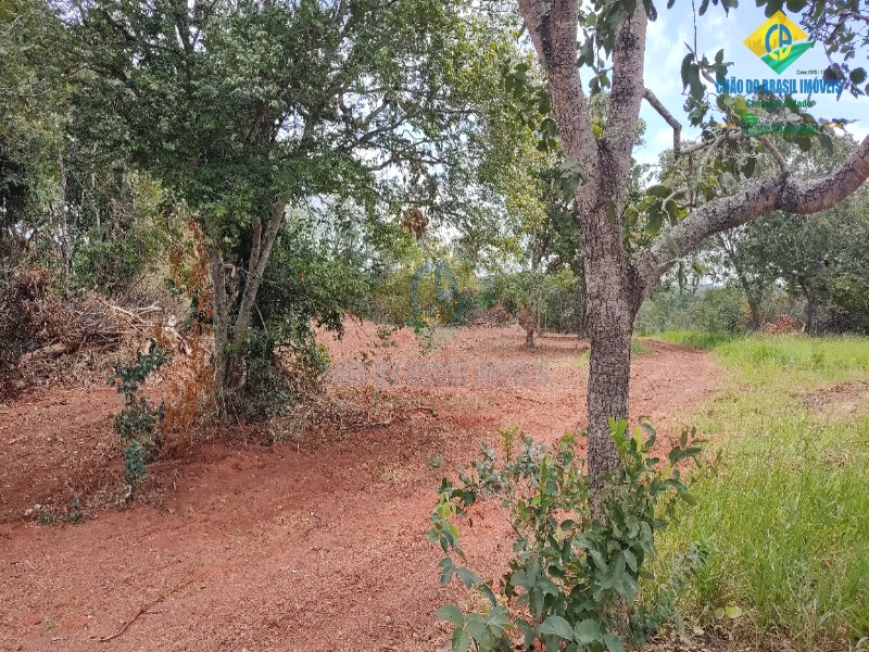 Fazenda à venda com 3 quartos - Foto 63