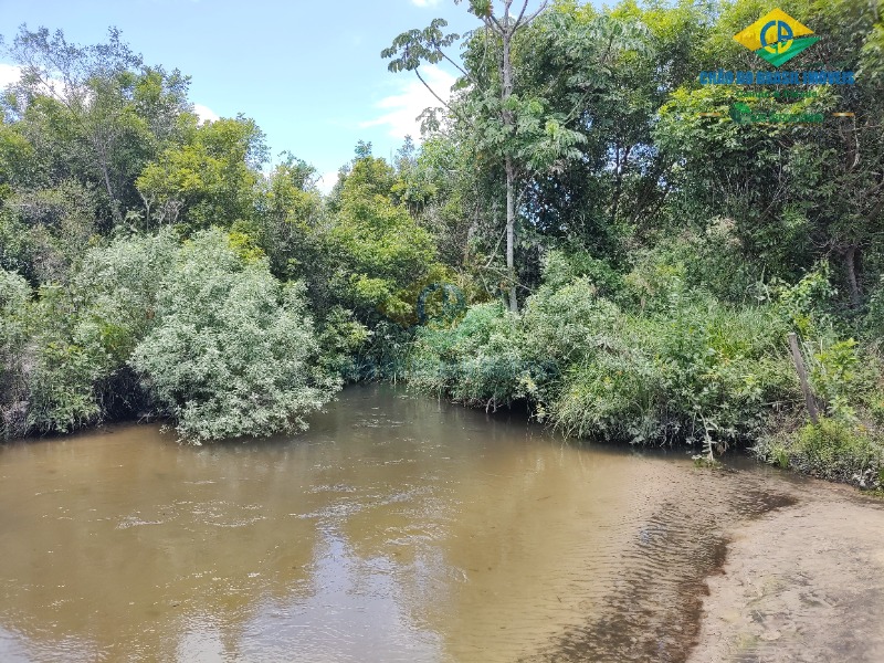 Fazenda à venda com 4 quartos - Foto 54