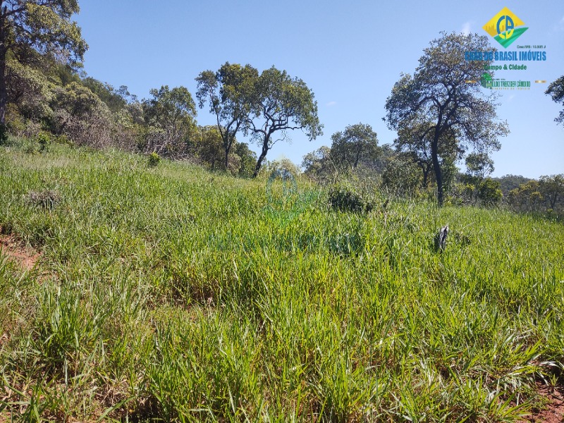 Fazenda à venda com 2 quartos, 80m² - Foto 8