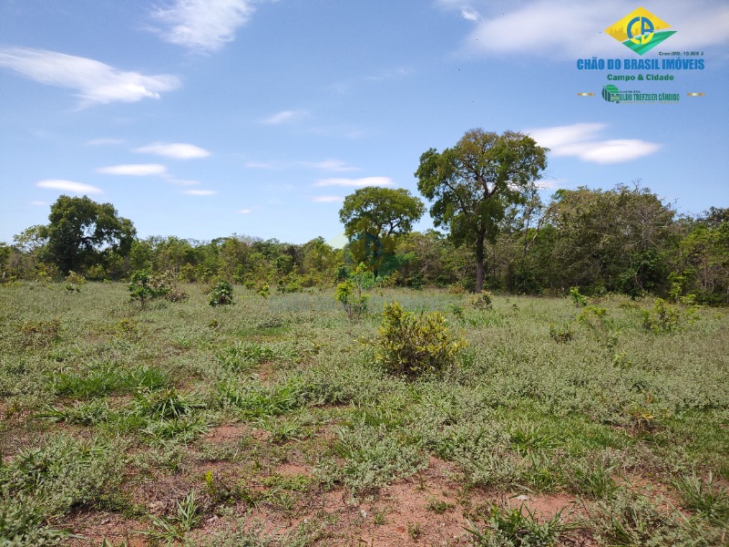 Fazenda à venda com 4 quartos - Foto 26