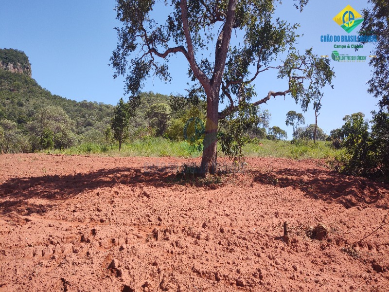 Fazenda à venda com 2 quartos, 80m² - Foto 19