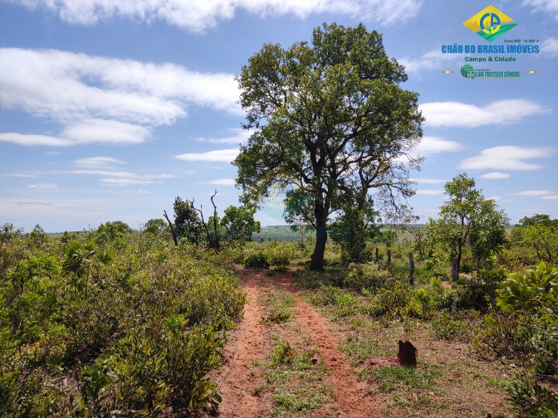 Fazenda à venda com 4 quartos - Foto 28