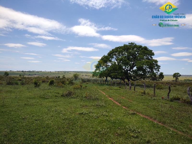 Fazenda à venda com 4 quartos - Foto 35