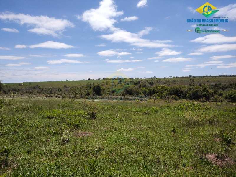 Fazenda à venda com 4 quartos - Foto 40