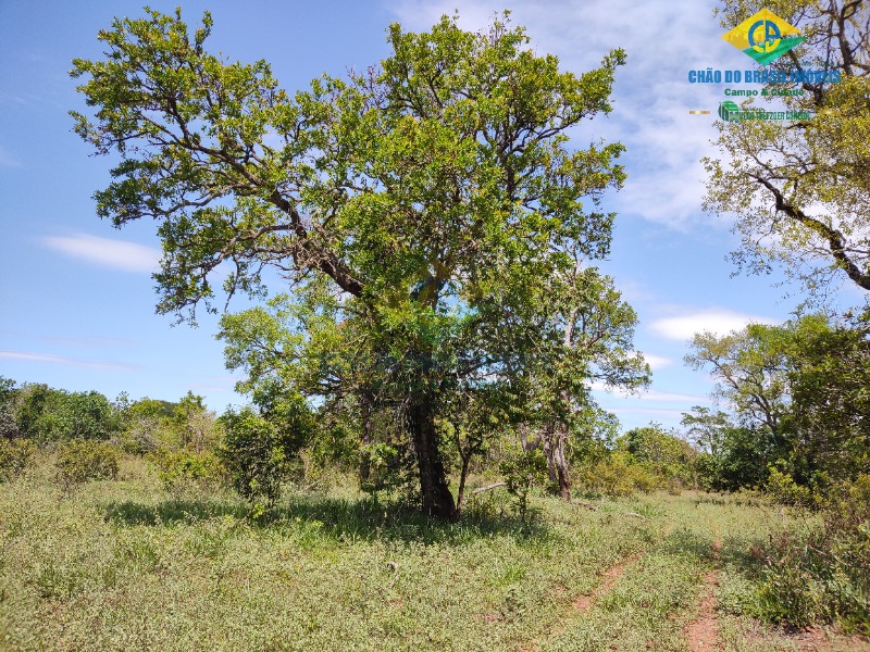 Fazenda à venda com 4 quartos - Foto 20