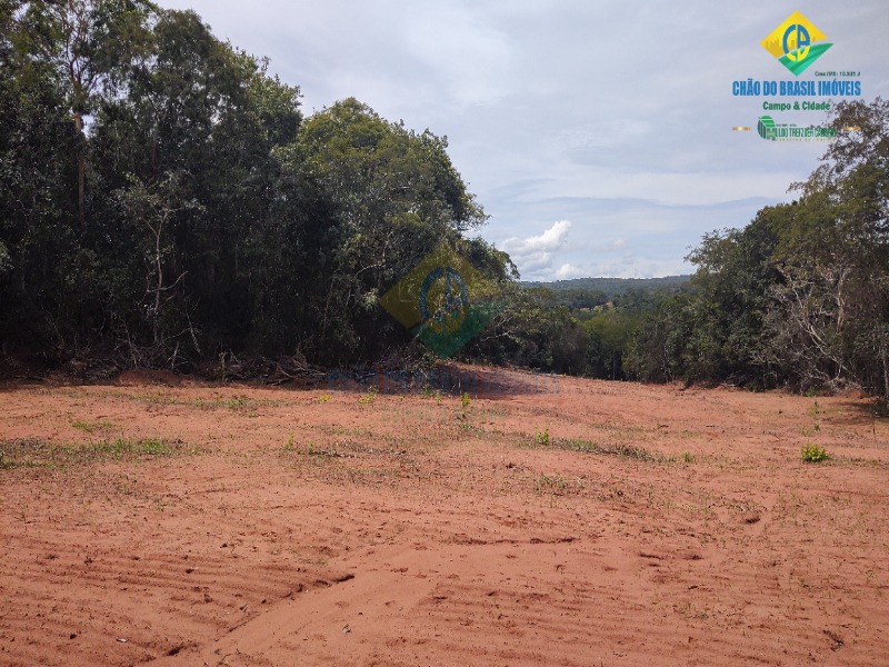 Fazenda à venda com 3 quartos - Foto 52