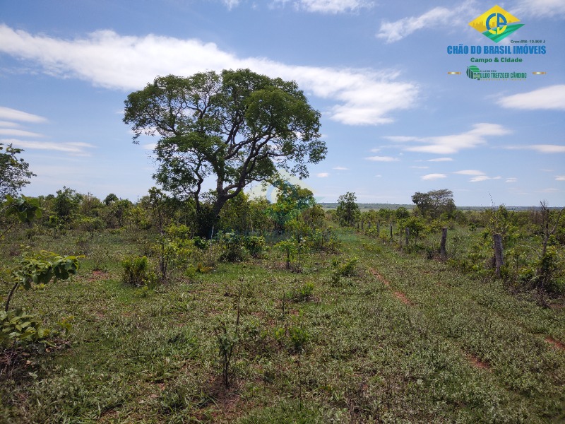 Fazenda à venda com 4 quartos - Foto 23