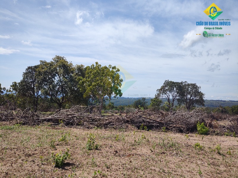 Fazenda à venda com 3 quartos - Foto 26