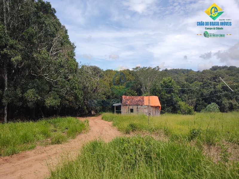 Fazenda à venda com 3 quartos - Foto 67