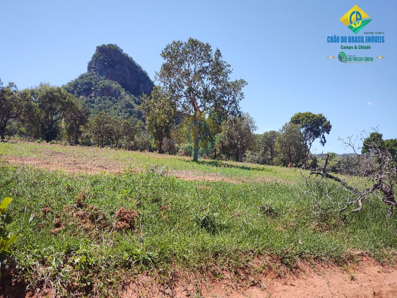 Fazenda à venda com 2 quartos, 80m² - Foto 15