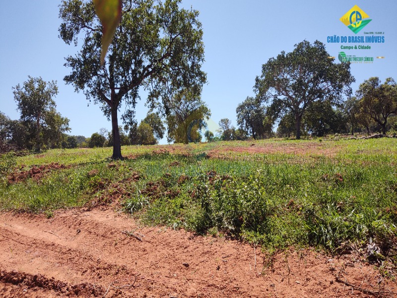 Fazenda à venda com 2 quartos, 80m² - Foto 17