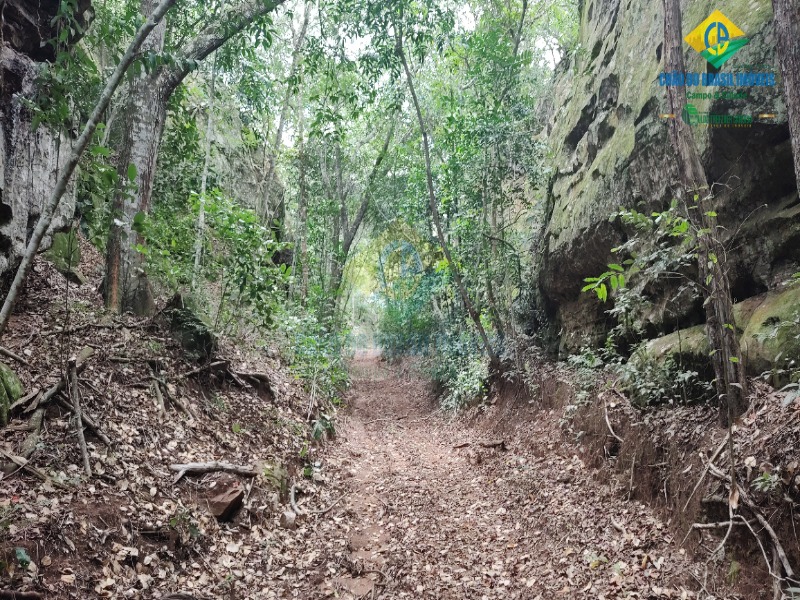 Fazenda à venda com 3 quartos - Foto 3