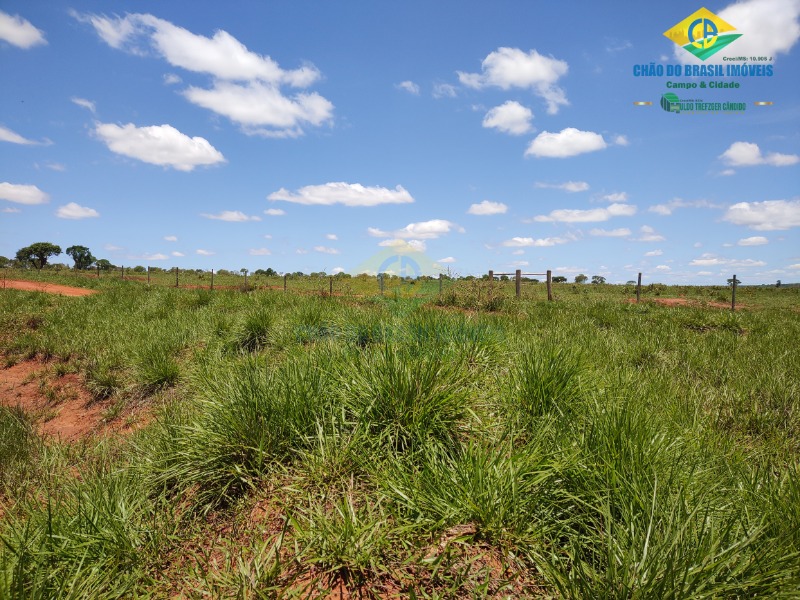 Fazenda à venda com 4 quartos - Foto 8