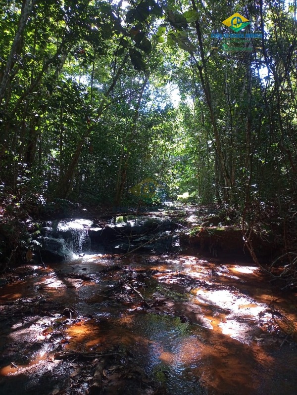 Fazenda à venda com 3 quartos - Foto 5