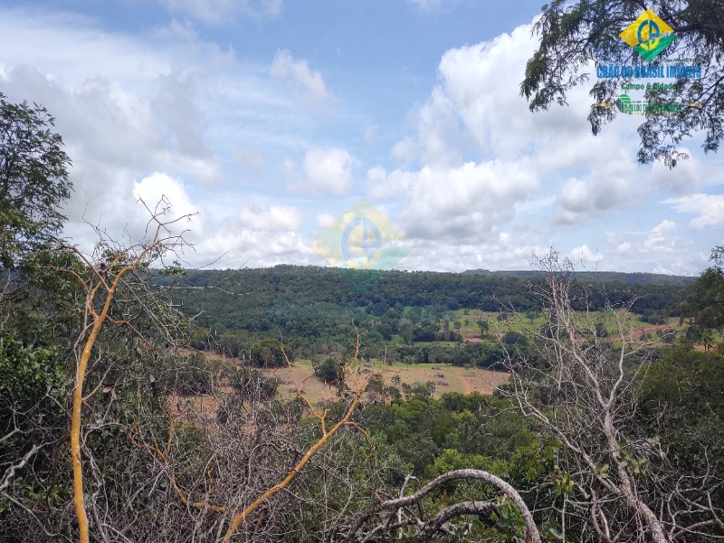 Fazenda à venda com 3 quartos - Foto 62